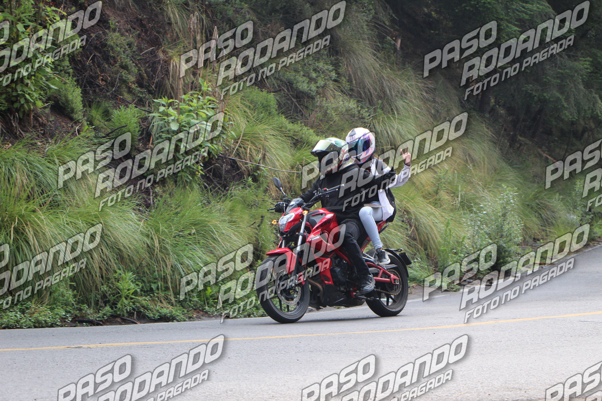 IMG 7660 wm 241027 watermarked — Postimages
