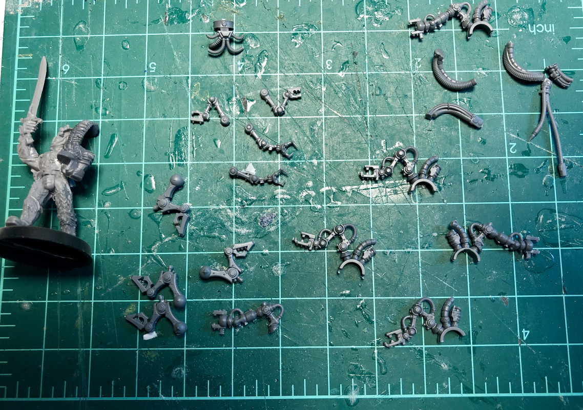 4E82989D-7CD5-4312-8A5D-EDF13201E56C