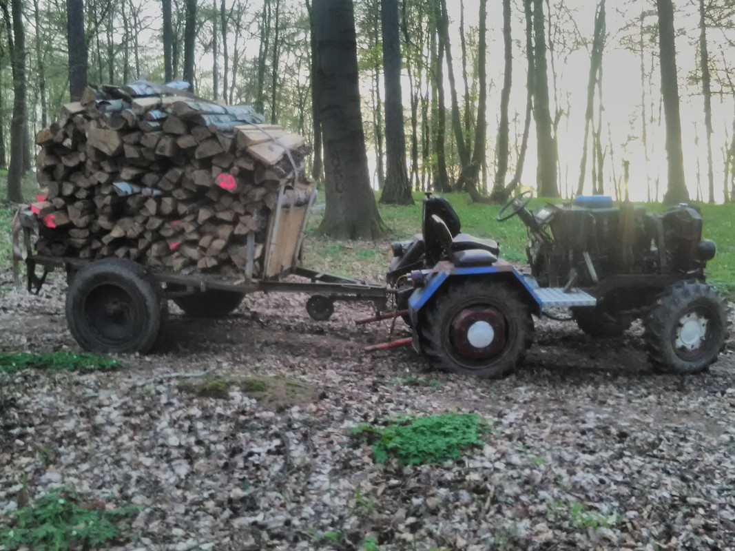 IMG_20240330_175455_082336