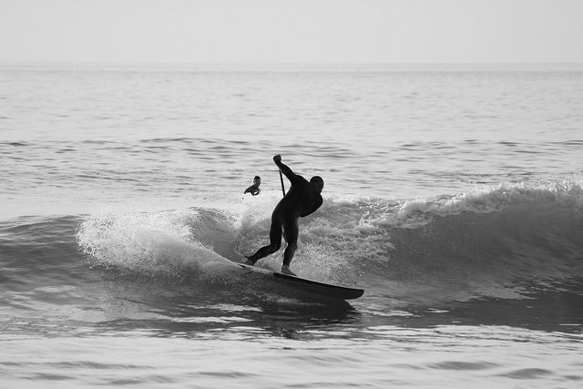 25649810678_c346fdc556_z