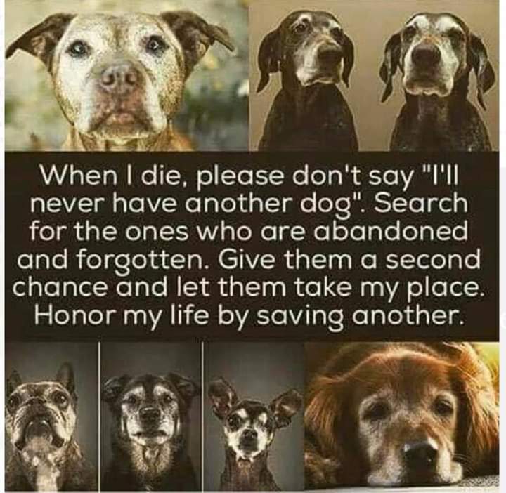 FB_IMG_1573484393856