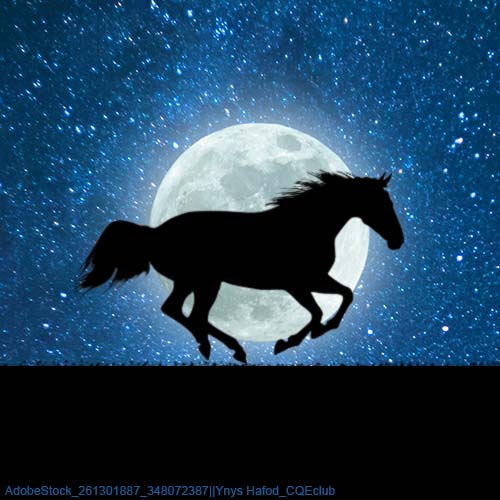 Galloping-Moon-Horse-Avatar.jpg