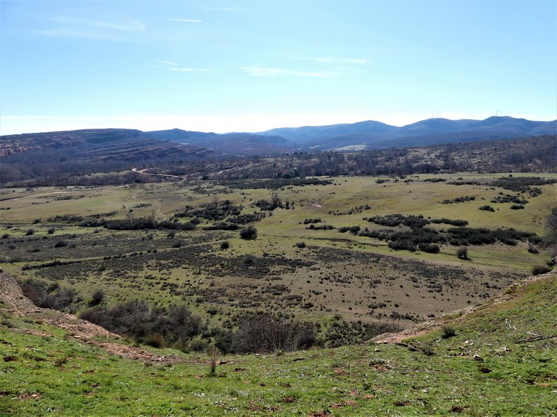 YACIMIENTO ARQUEOLOGICO DE TIERMES-16-2-2020 - Soria y sus pueblos-2010/2013/2020 (49)