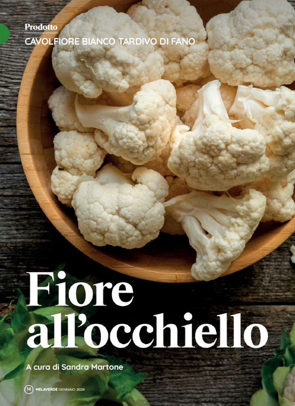 melaverde Gen 2024 (1)