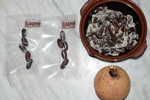 Packed seeds