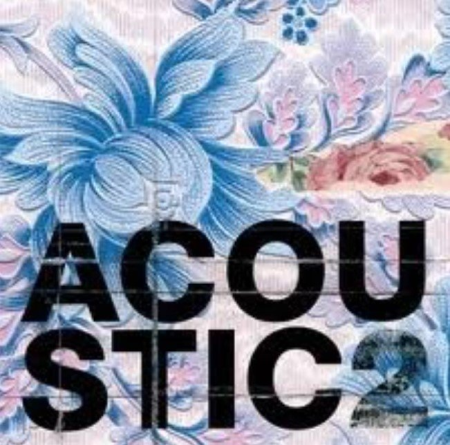 VA   Acoustic 2 (2CDs) (2002)
