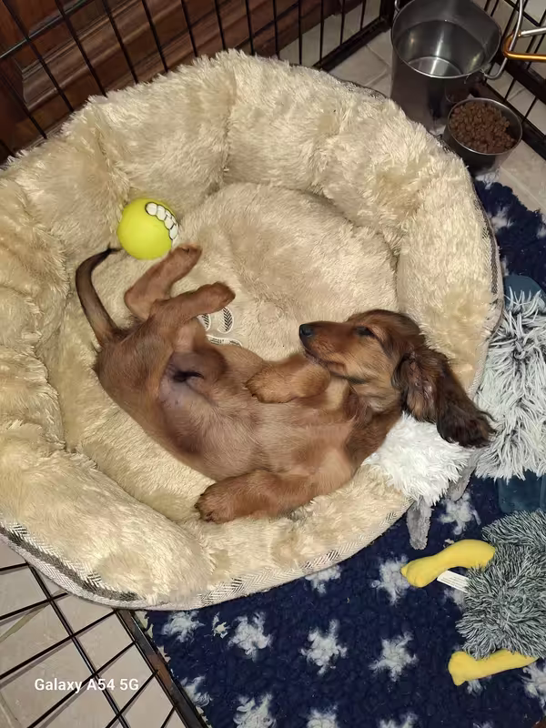 [Image: 20240910-121841.avif]