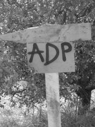 ADP Free party Balscha 2009 039