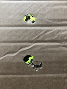 6F89F780-499D-48BD-9D9A-197762834543