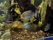 IMG-2253
