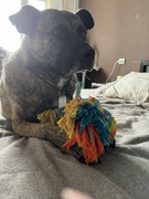 1F290C81-F259-4A7B-9F67-5E5A36ED7B4A