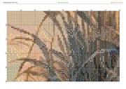 2883549-crosti-ru-color-31