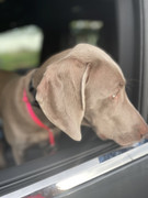 AB640AD8-8B3B-426A-A886-4E7019A88FE3