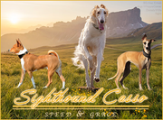 Sighthound Casso Manip