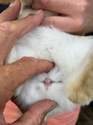 d5a8e9be-7a62-49ab-ad18-b550c319ae10