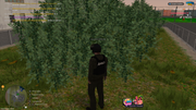 Znimok-ekrana-2026-07-30-162042