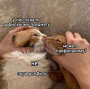 3d6e680956f3e580e5bc12a95d601d10.jpg