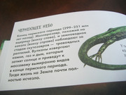 https://i.postimg.cc/9RK2w109/100-8577.jpg