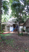 DSC01130