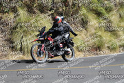IMG-1388