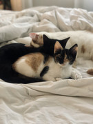 87F956BC-0D7B-4CA6-A154-B8740661A9B3