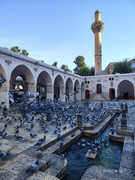 От Антальи на восток (до Мардина и Диярбакыра) + Анкара, ноябрь 2025.