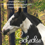 B3BC441C-CD39-4DF9-B4BC-7CCF9E6A99CD