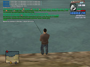 Tuoma Tomato [Platinum] [2025-06-01 14-08]