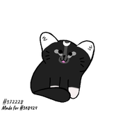 2024-08-26-11s-Kleki