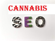 cannabis plants