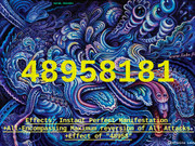 48958181  Infinitecode
