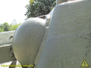 IMG-5499