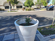 IMG-20260315-163534135-HDR