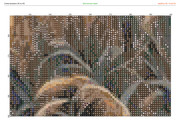 2883549-crosti-ru-color-32