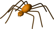 Halloweenpumpkitdnspider
