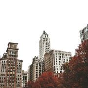 Tumblr l 501289477704137