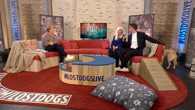 [Image: kg1l6gm5s7hx.png]