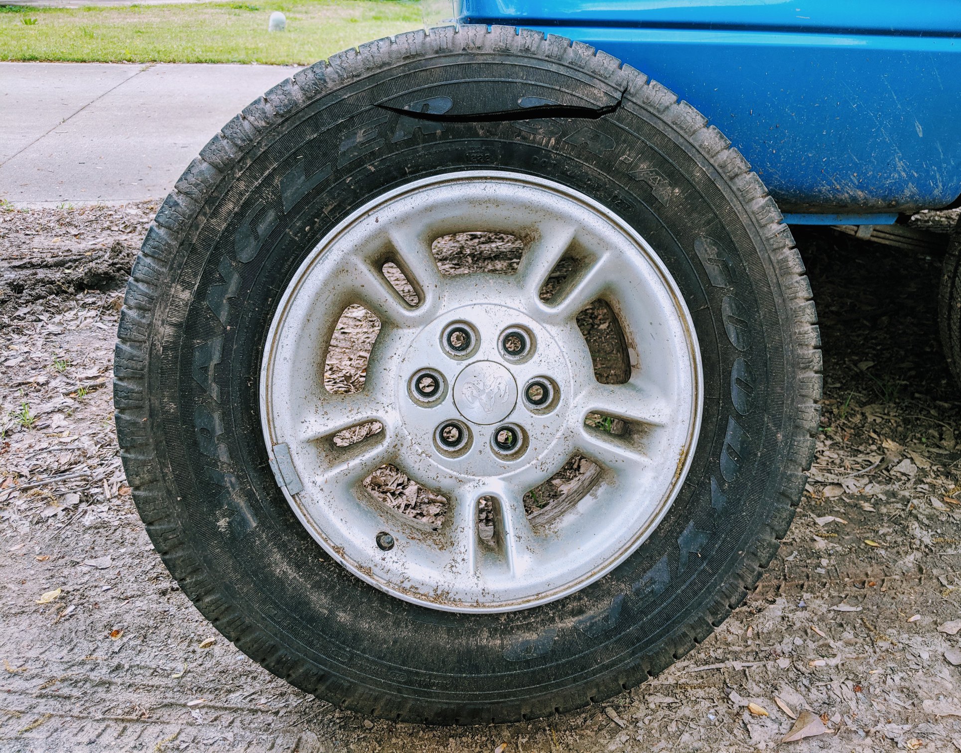 57034599-10156118582166016-4108832677635