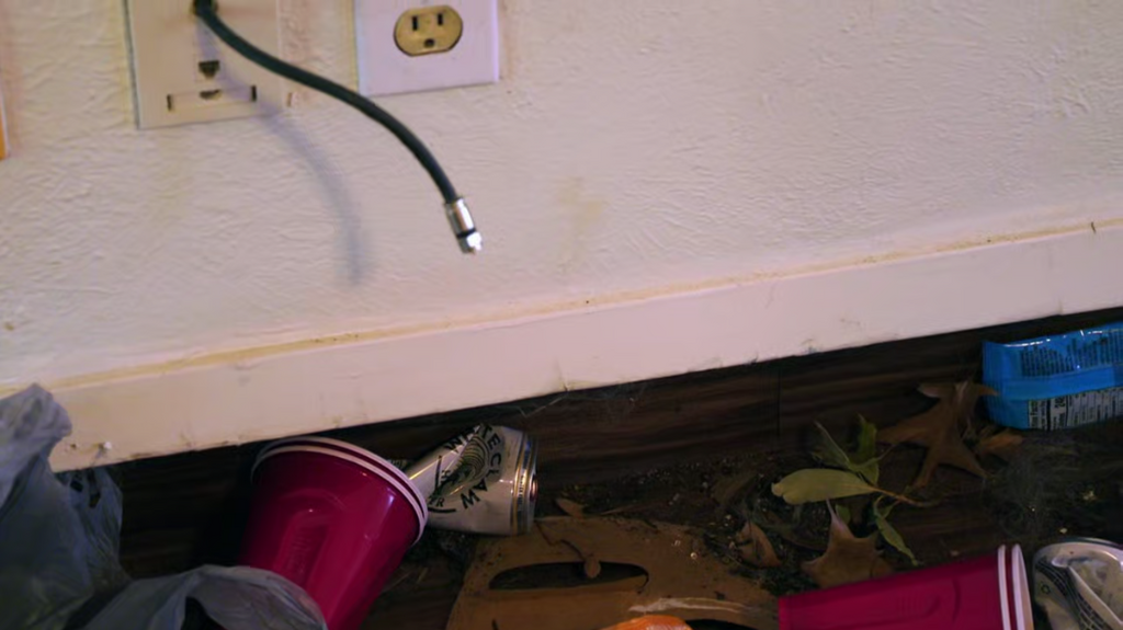 [Image: a66v3a5hglid.png]