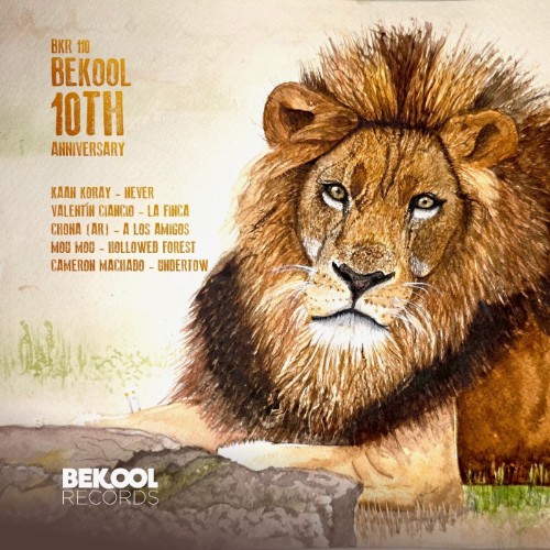 VA - BEKOOL - 10th Anniversary (2026) MP3