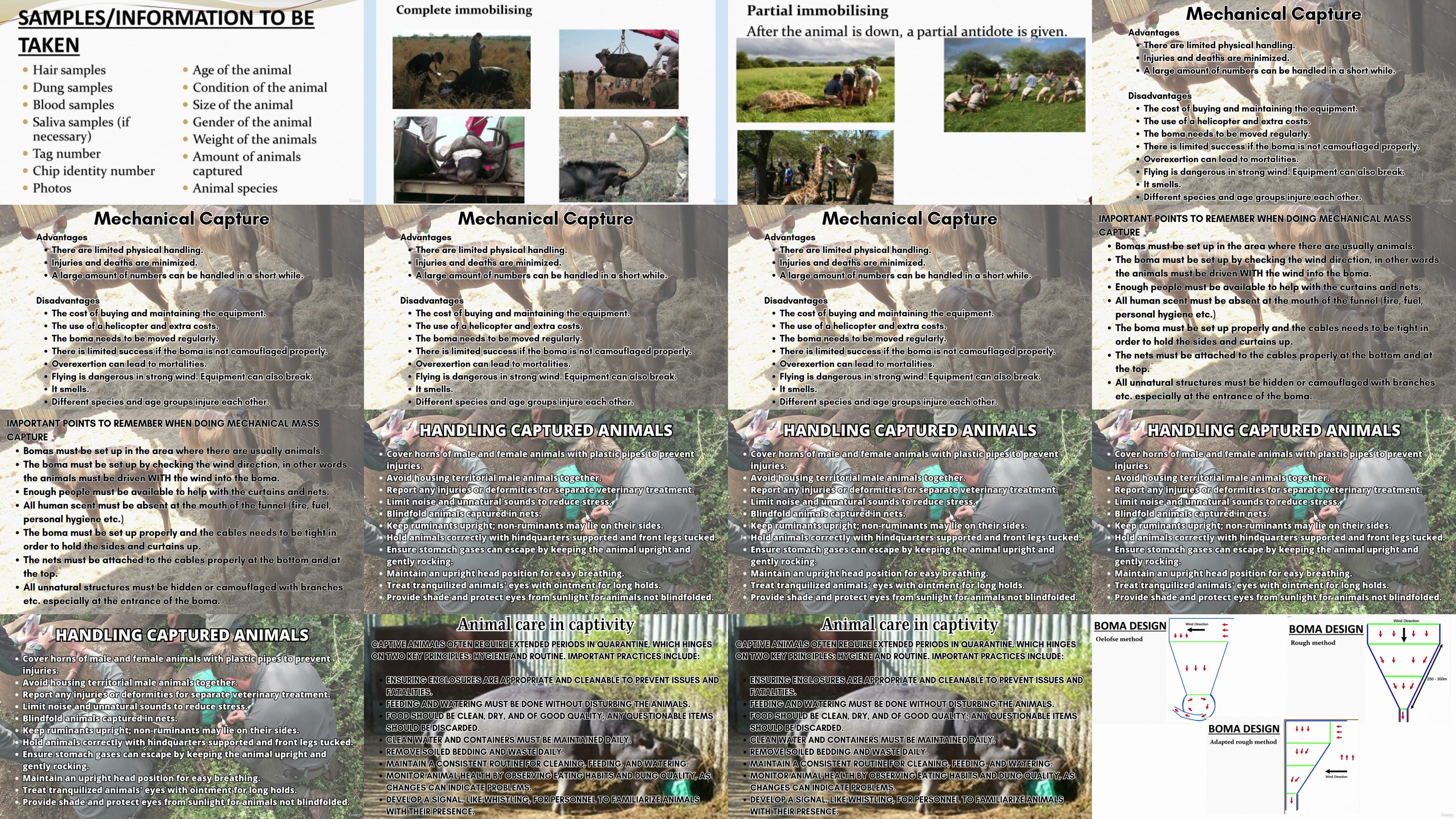 https://i.postimg.cc/9VGy009Q/yxusj-4-Game-capture-lecture-part-3.jpg