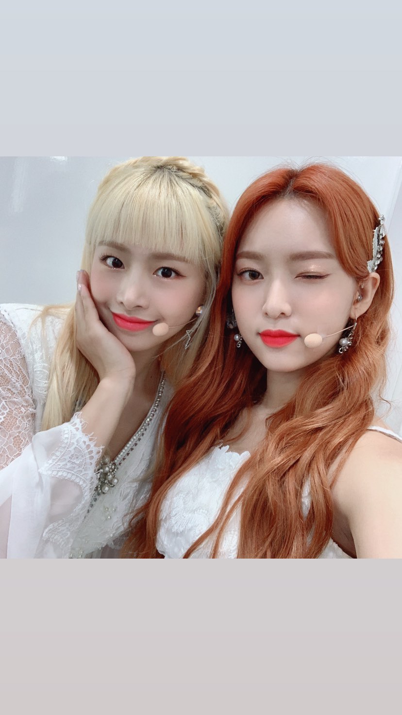 97116486-179977826801572-837531058642785