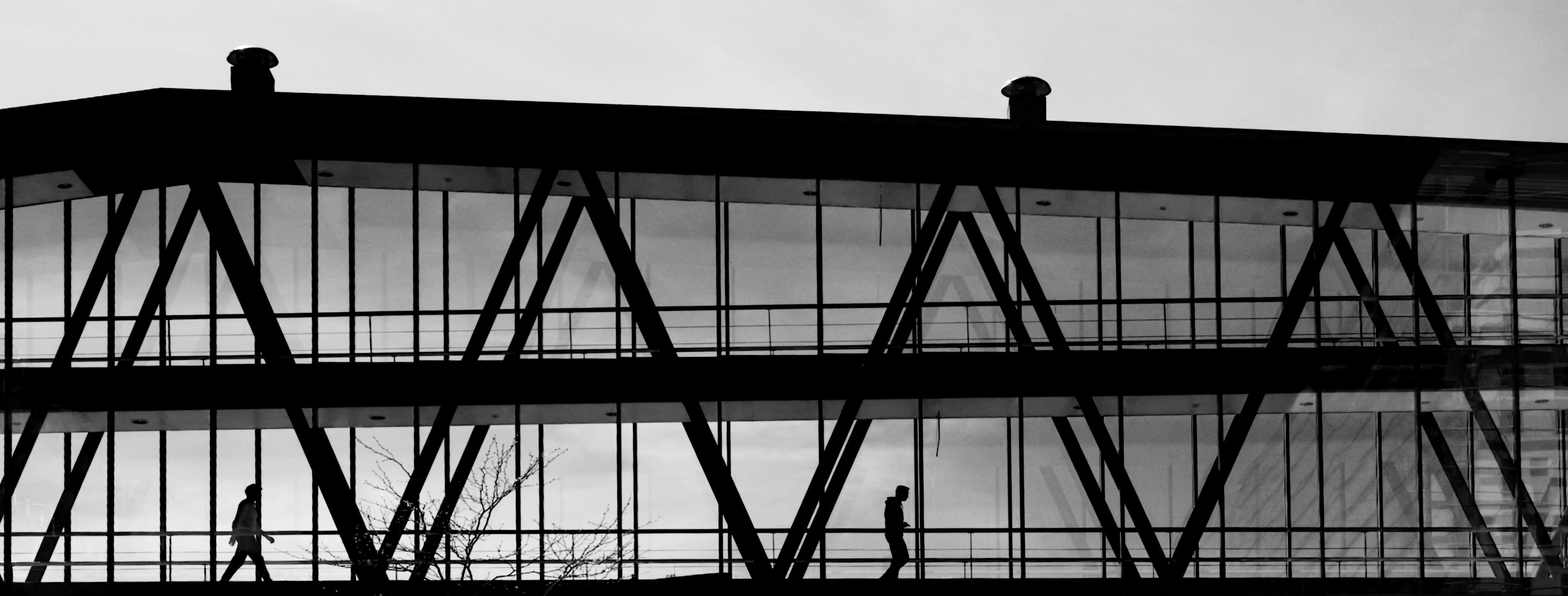 Fotografie