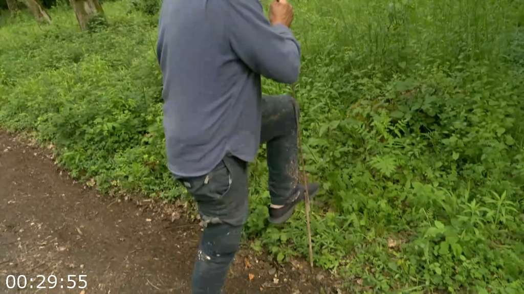 [Image: svn18qfcr5v8.png]