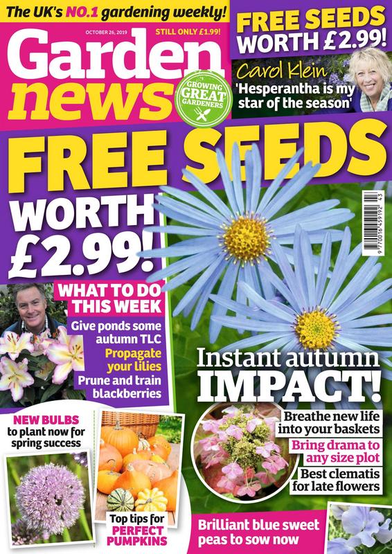 Garden-News-26-October-2019.jpg