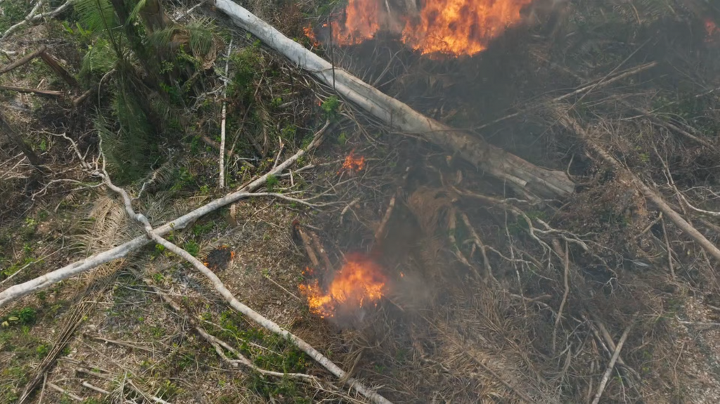 [Image: bmidzq114fl7.png]