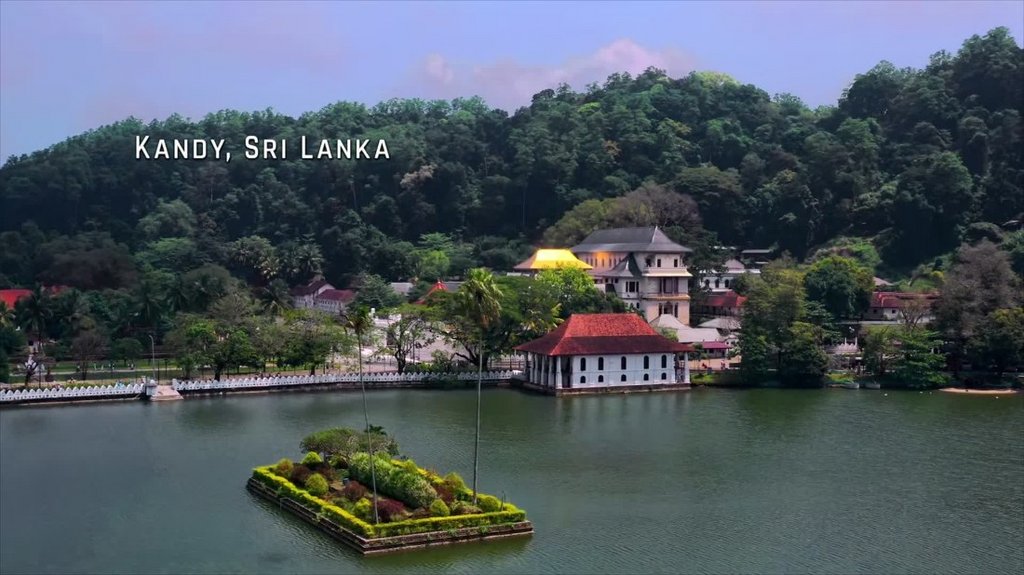 [Image: er2t1e9qg4we.jpg]