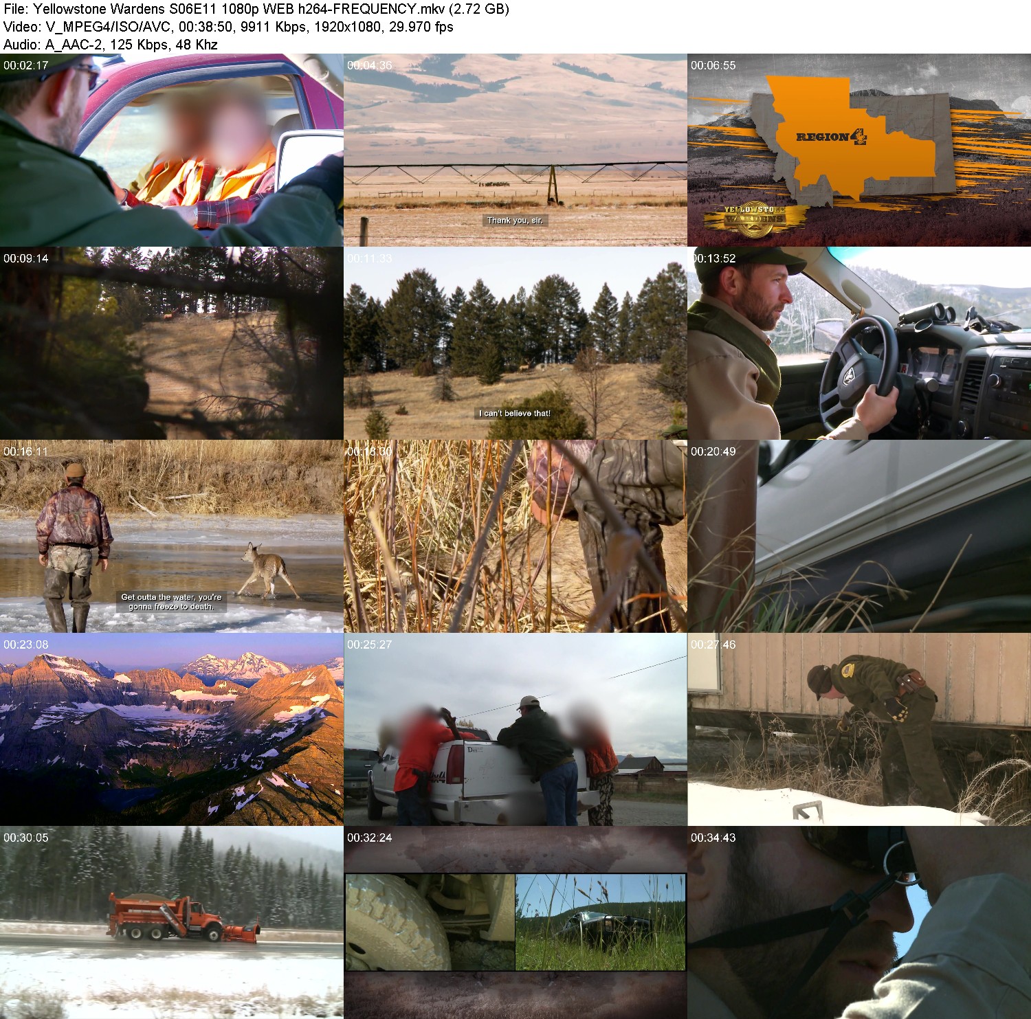 [Image: 3eiimrljd726.jpg]