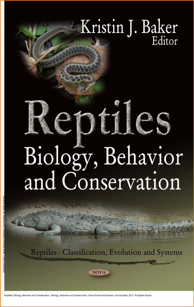 [Image: 001rhomkyx9f.png]