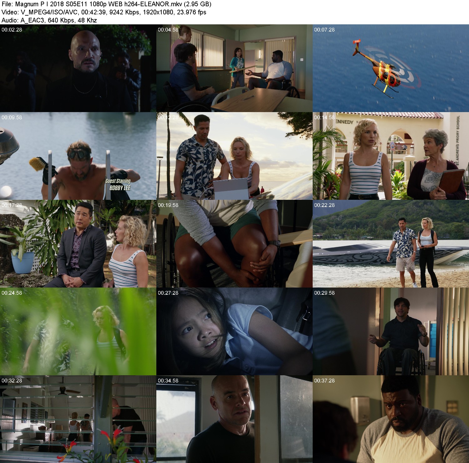 [Image: a4vrae748dij.jpg]